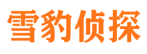 金湖寻人公司